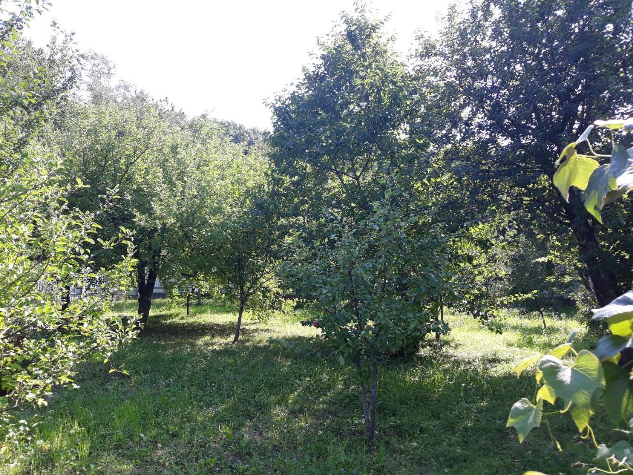 Котедж "Лісовий Затишок" Glubokoye Eksteriør billede